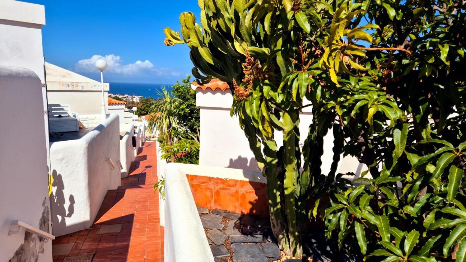 Costa Adeje Bungalow -Tenerife Kültér fotó