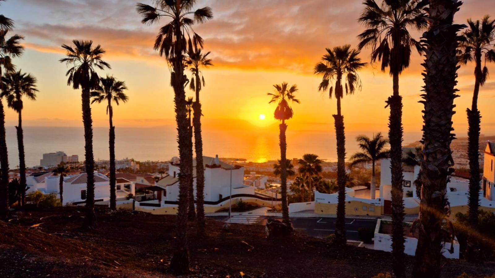 Costa Adeje Bungalow -Tenerife Kültér fotó